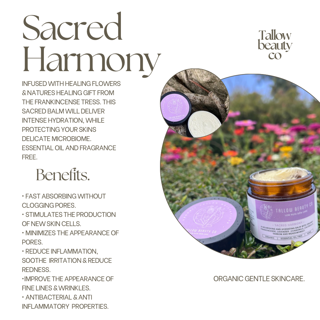 SACRED HARMONY